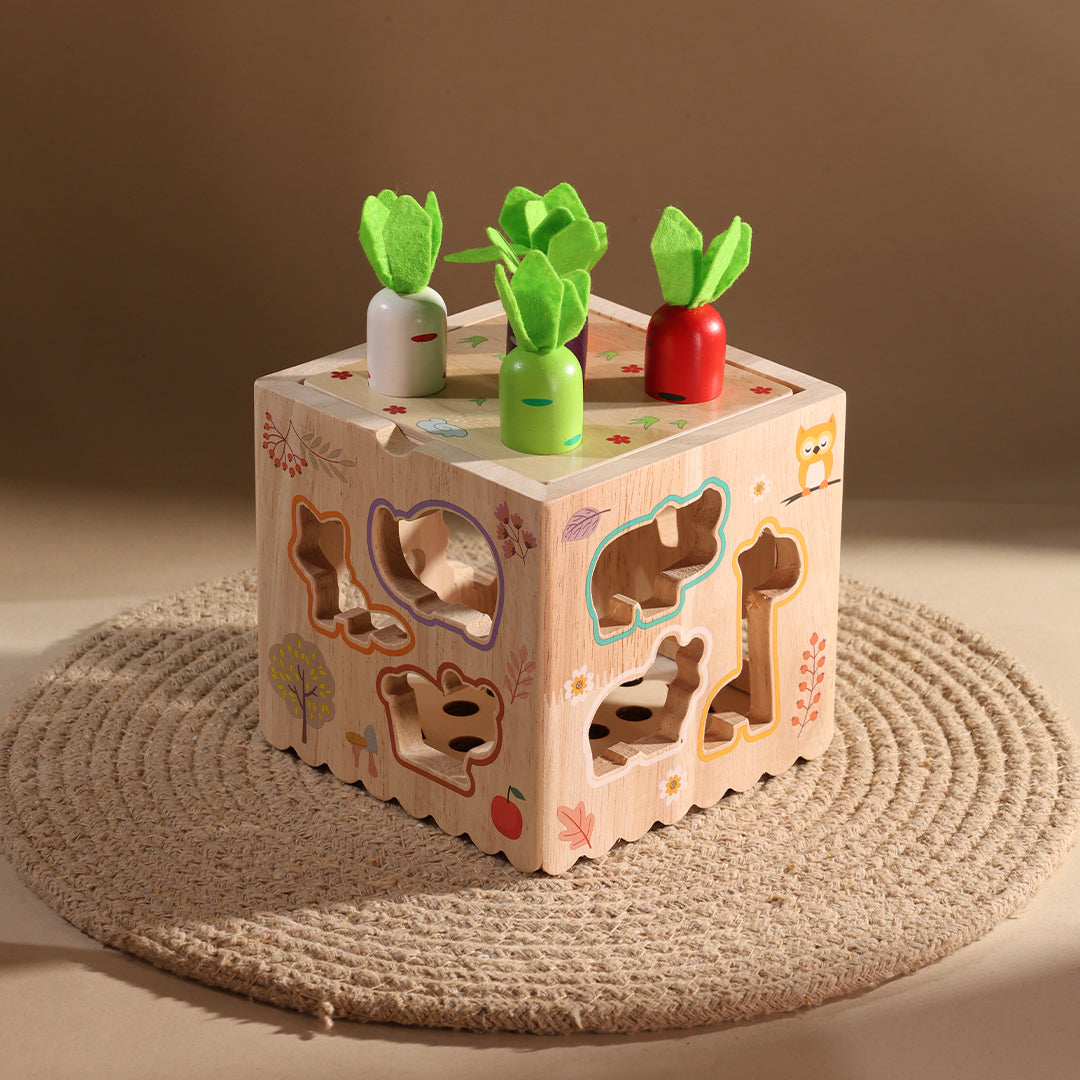 8 in 1 Multi-function Toy