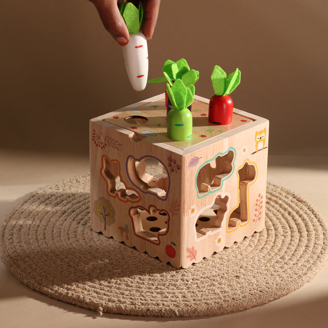8 in 1 Multi-function Toy
