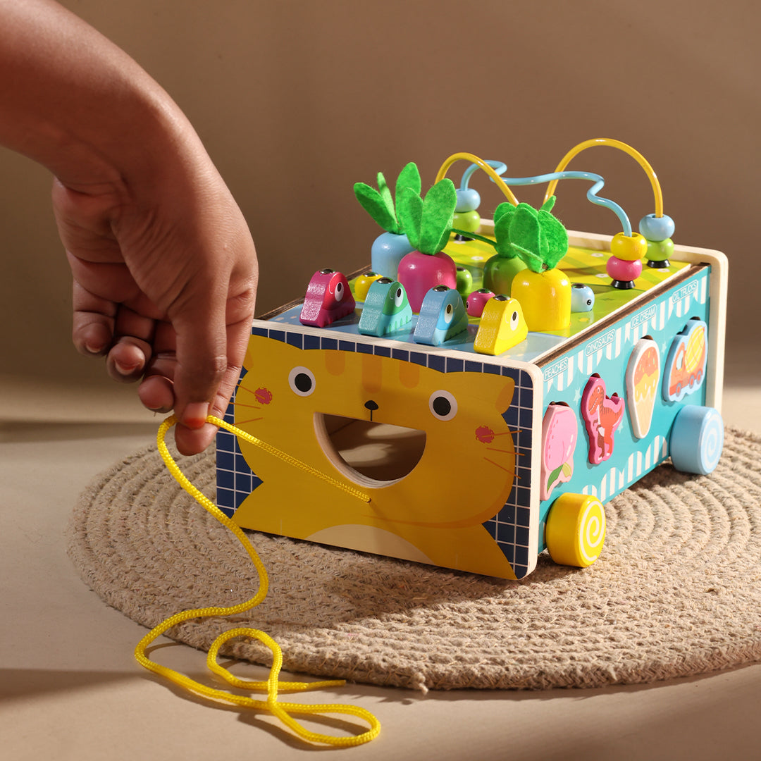 Early education multifunctional vehicle