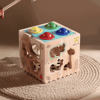 8 in 1 Multi-function Toy