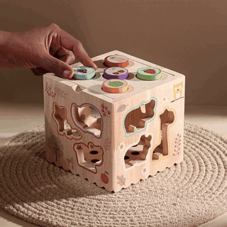 8 in 1 Multi-function Toy