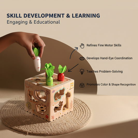 8 in 1 Multi-function Toy 