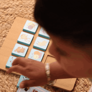 Instant Memory Card